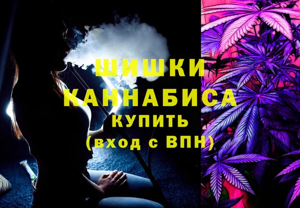 амф Козловка