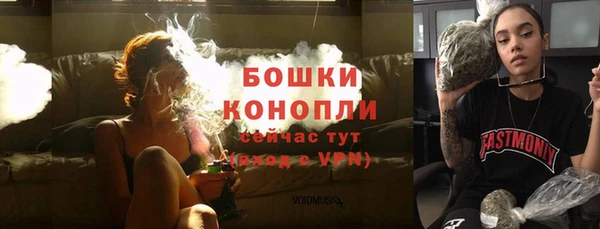 амф Козловка