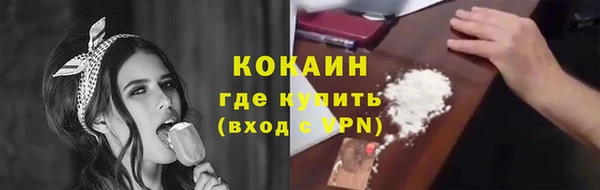 соль ск Козельск