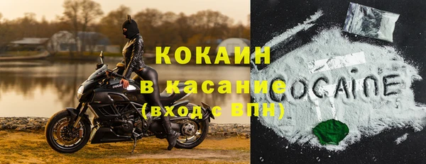 амф Козловка