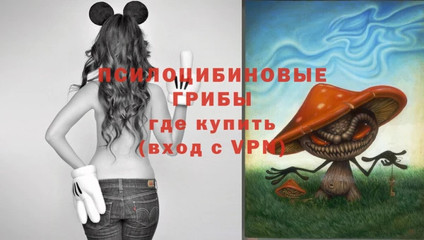 амф Козловка