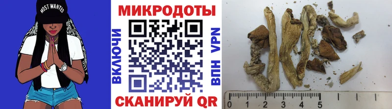 гидра ссылка  Приволжский  Псилоцибиновые грибы ЛСД 